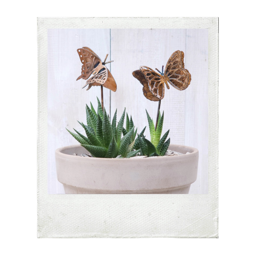 GARDEN & PLANT STAKES