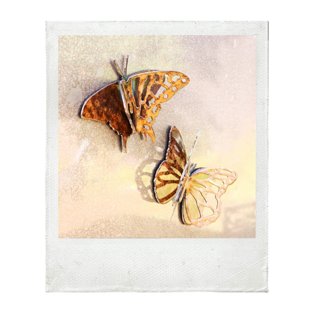 BUTTERFLIES