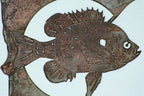 Sunfish MN
