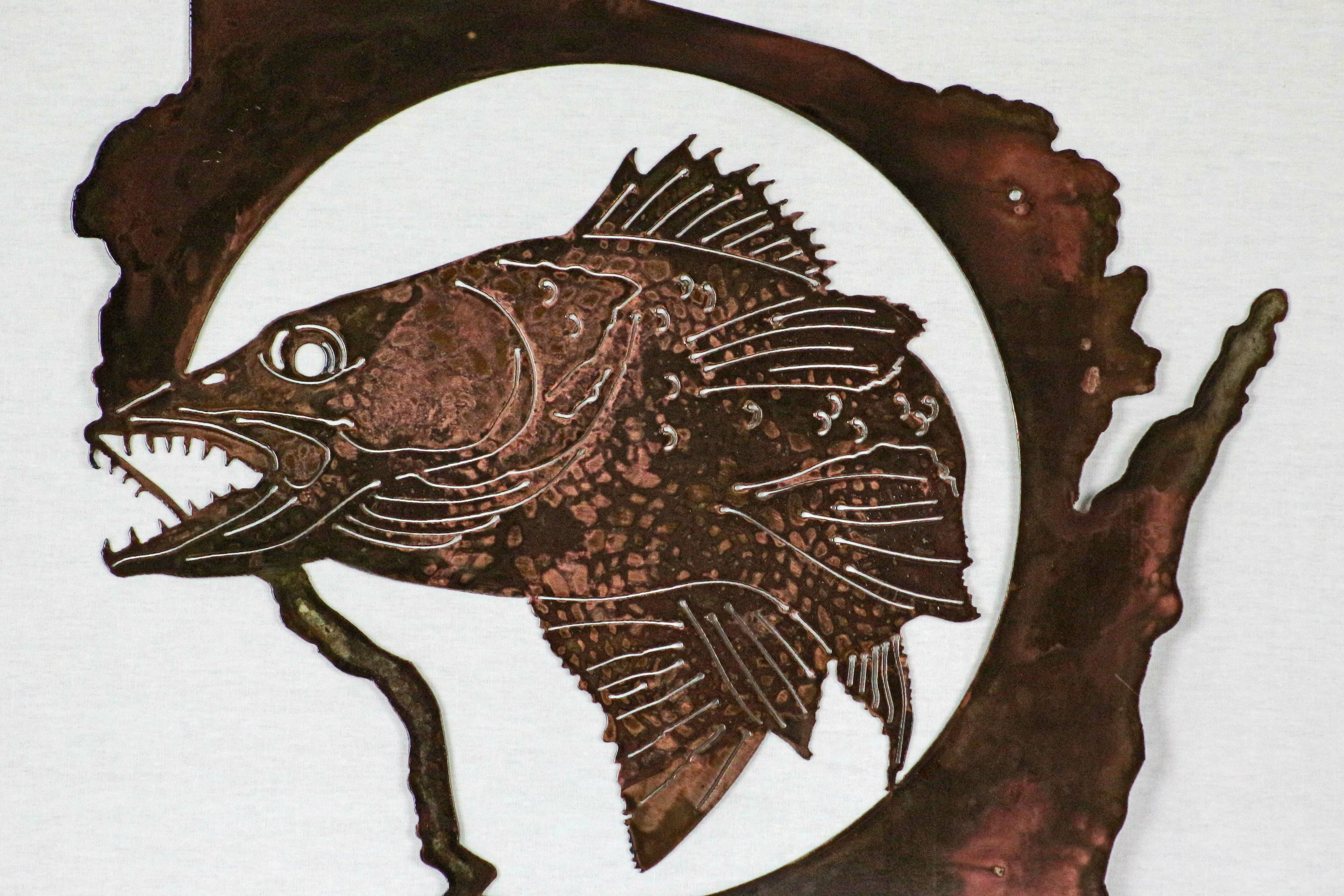 Walleye WI