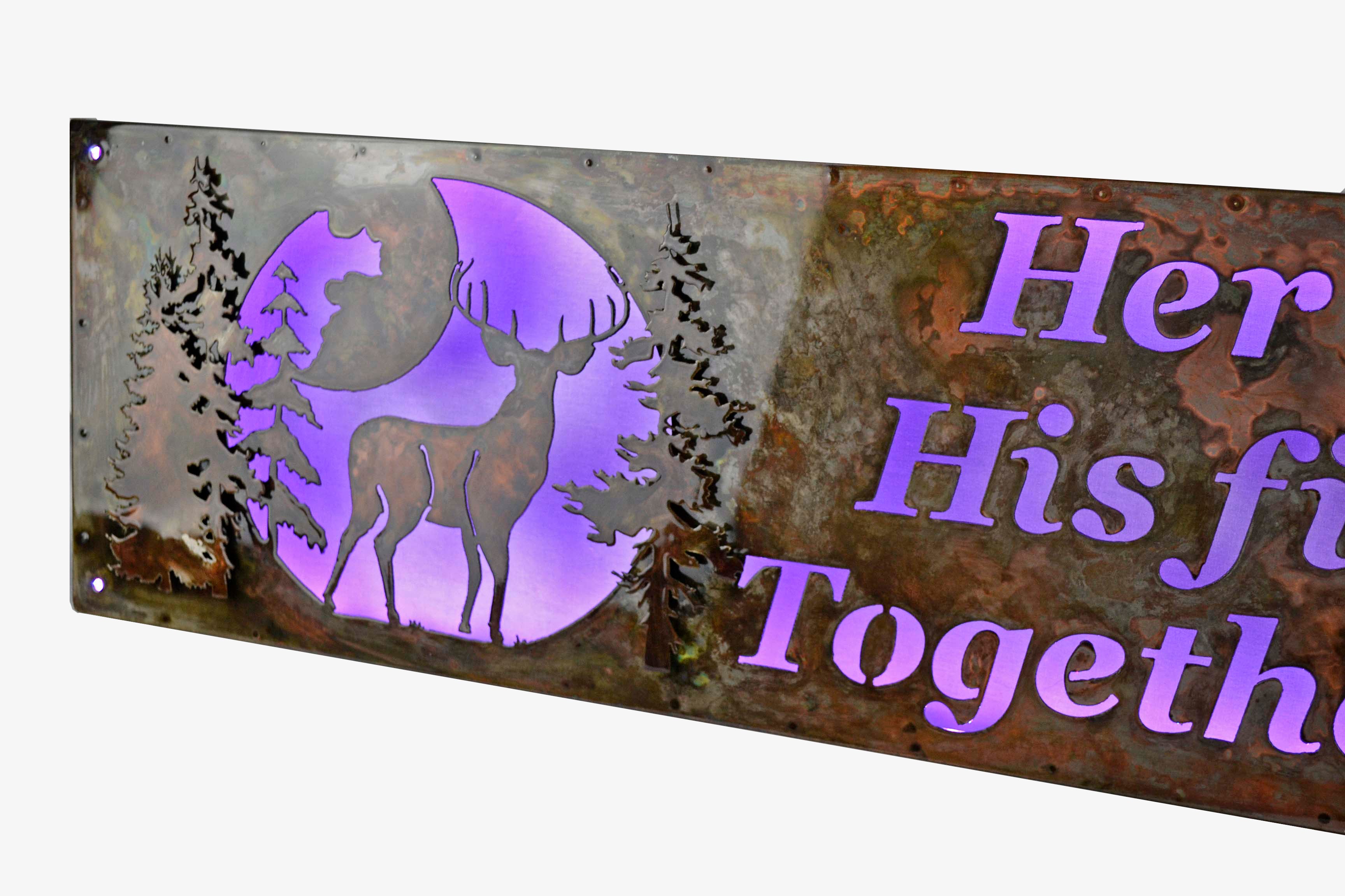 Custom Sign - 3D Framed Lighted - Deer & Walleye