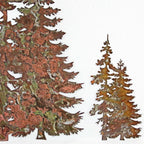 XXL Evergreen Pine Tree
