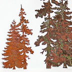 XXL Evergreen Pine Tree