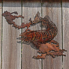 Lake Vermilion Fish, Mount