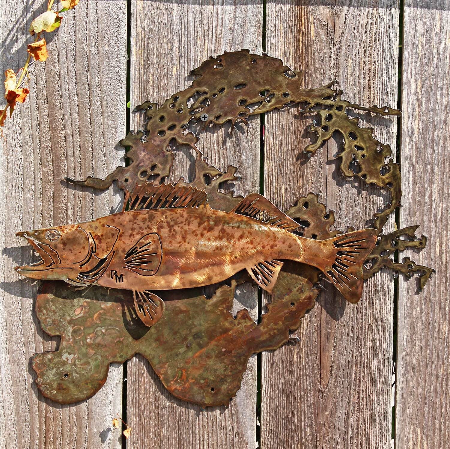 Lake of the Woods Walleye, Mount