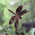 Small Dragonfly Stake