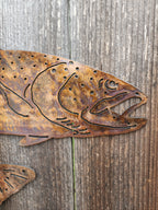 Single Rainbow Trout Wall Art