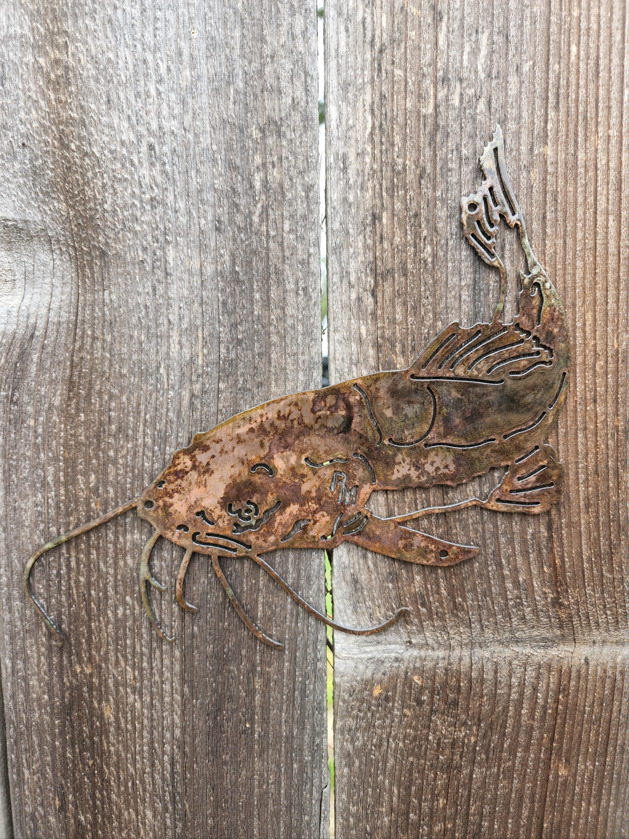 Single Catfish Wall Art