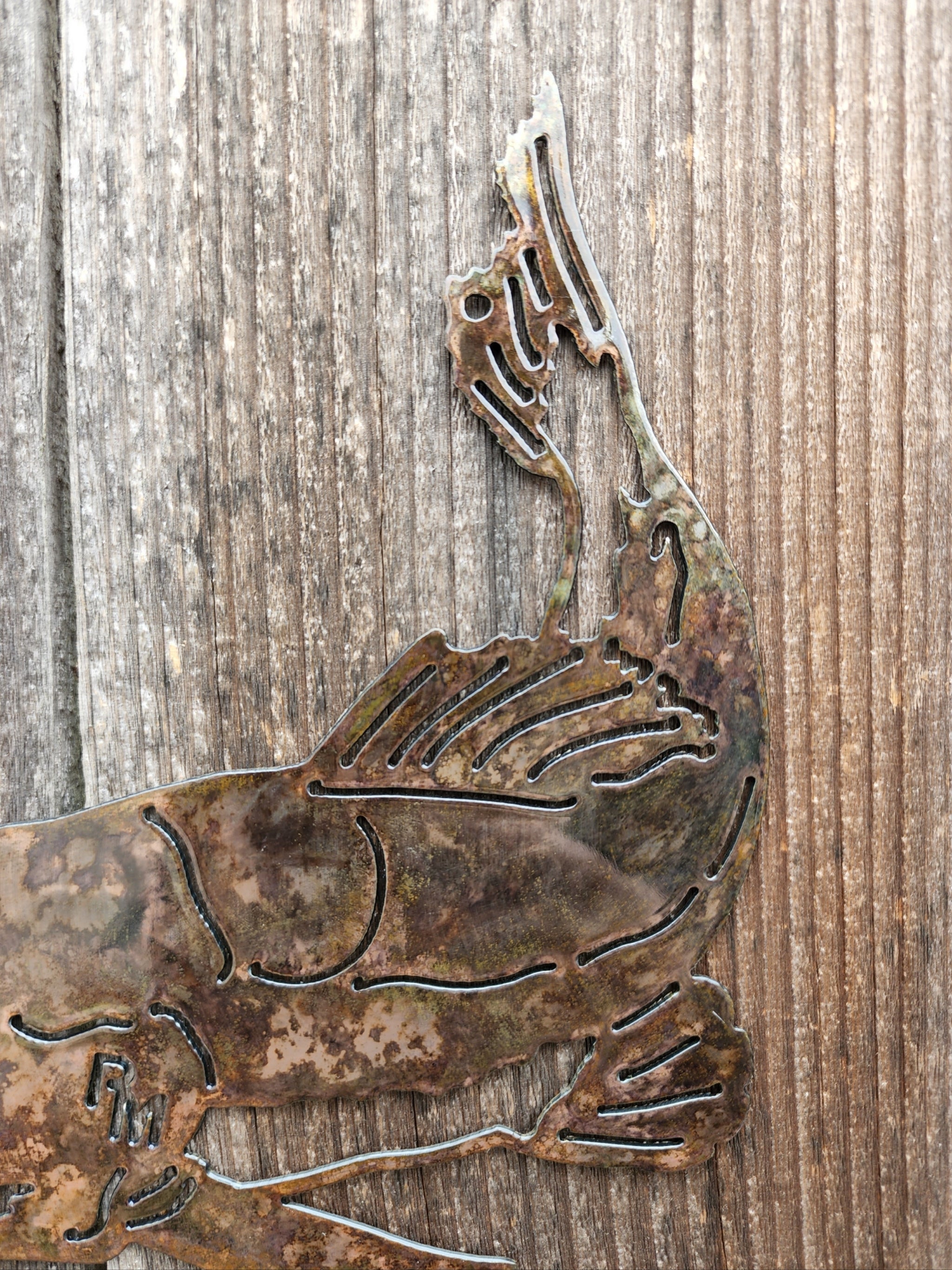 Single Catfish Wall Art