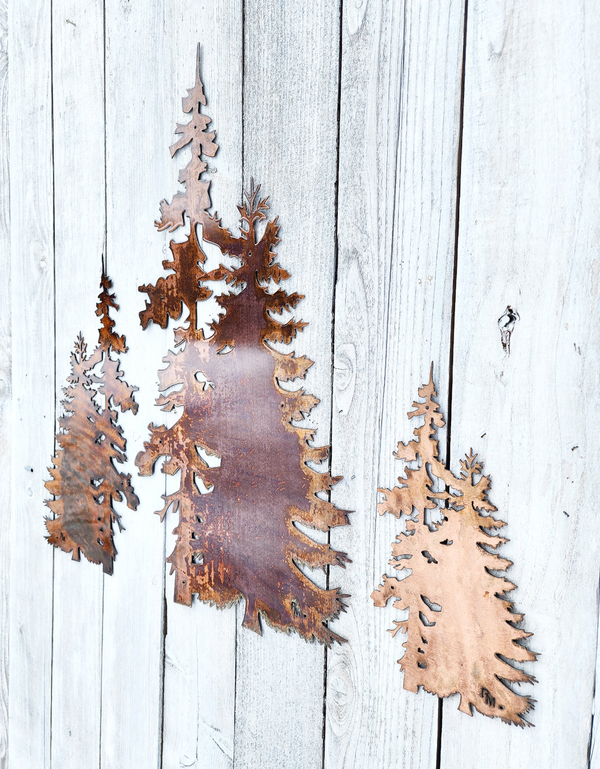 Evergreen Pine Tree