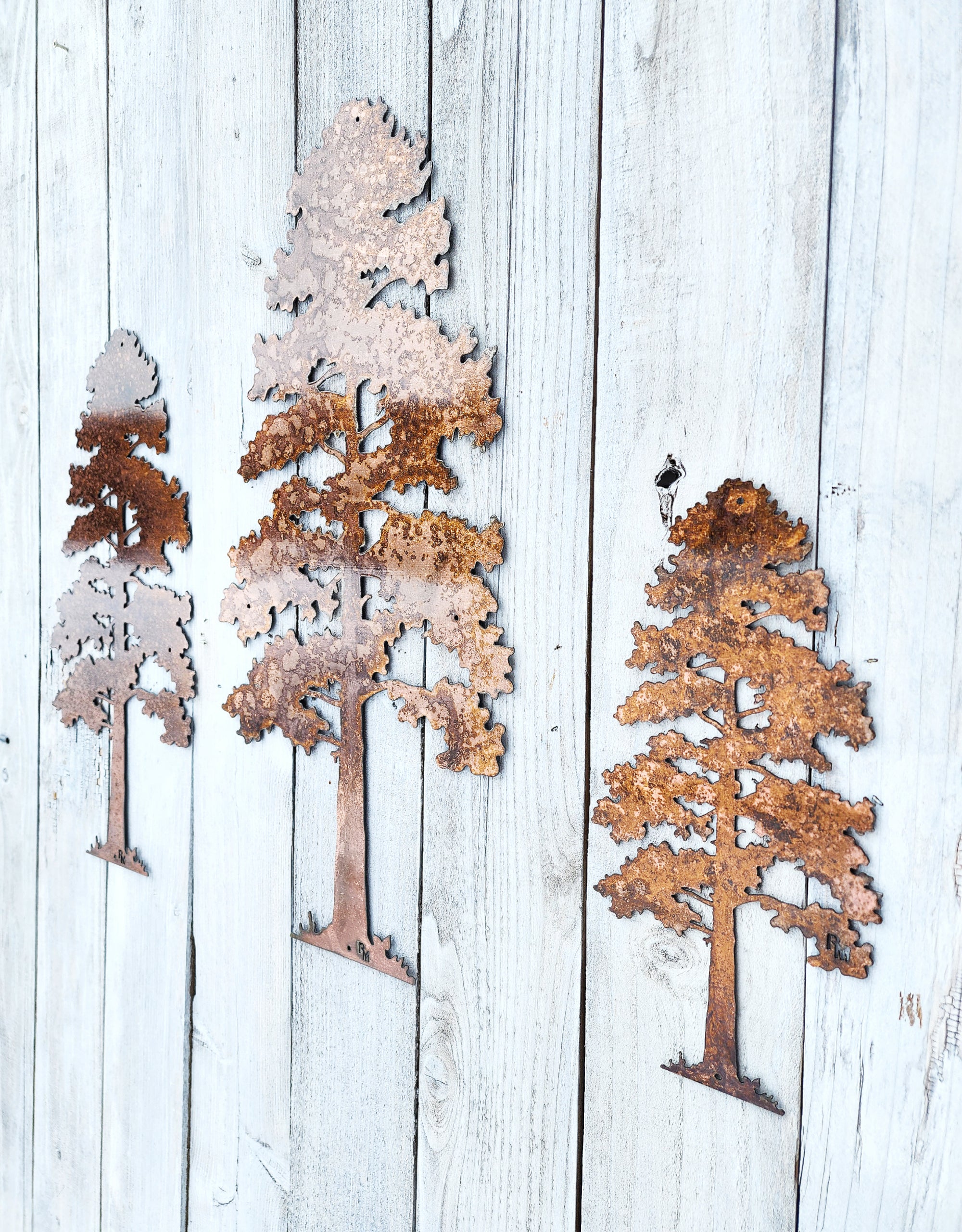 XL Lodgepole Pine Tree