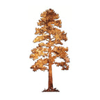 XL Lodgepole Pine Tree