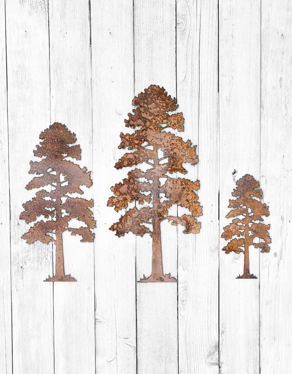 XL Lodgepole Pine Tree