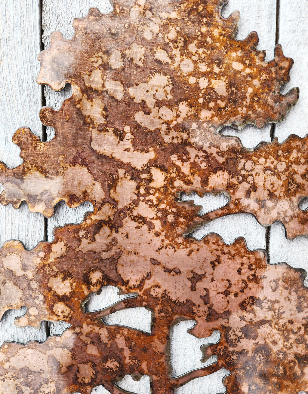 XXL Maple Tree