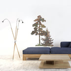 XL Oak Tree