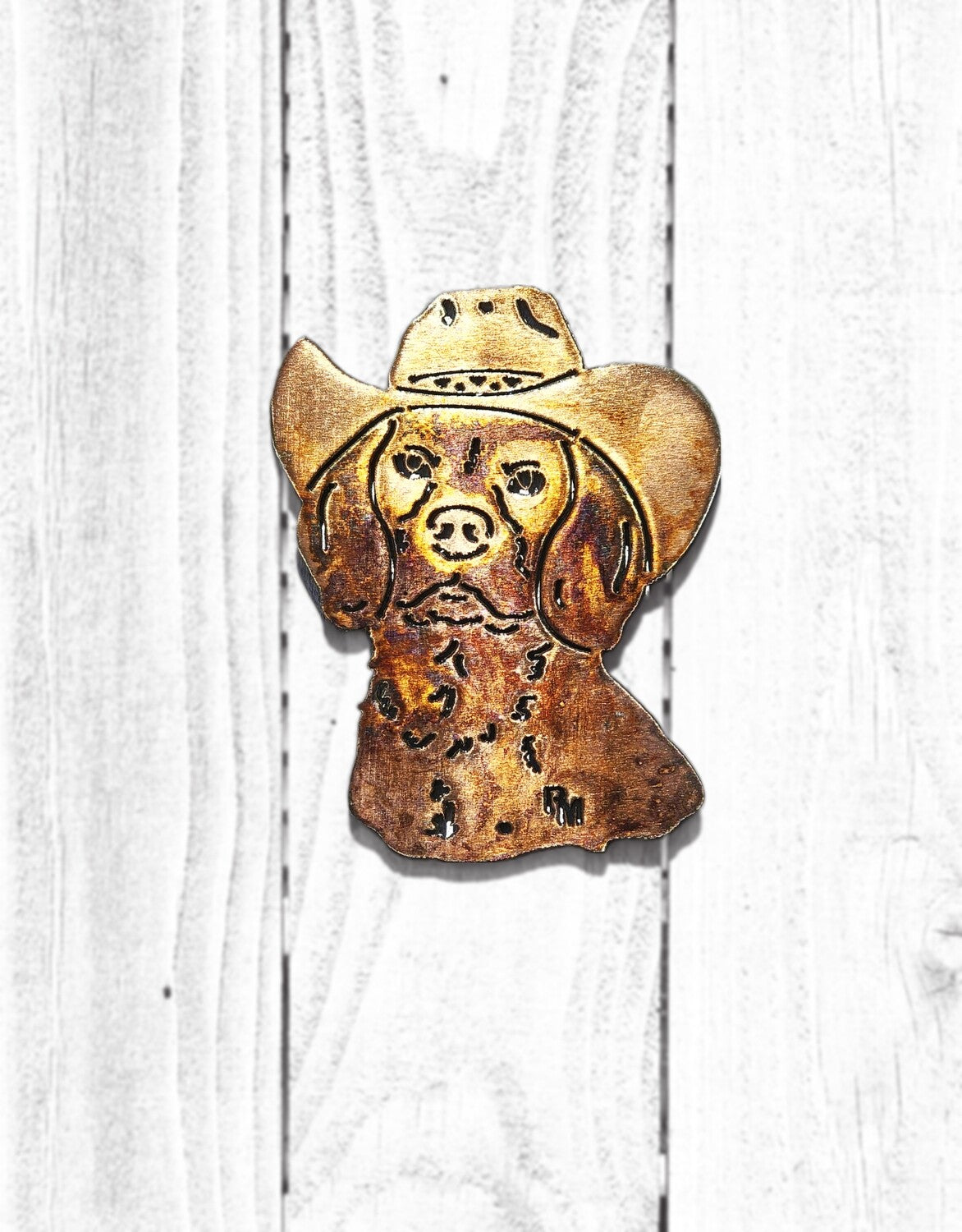 Beagle Cowboy