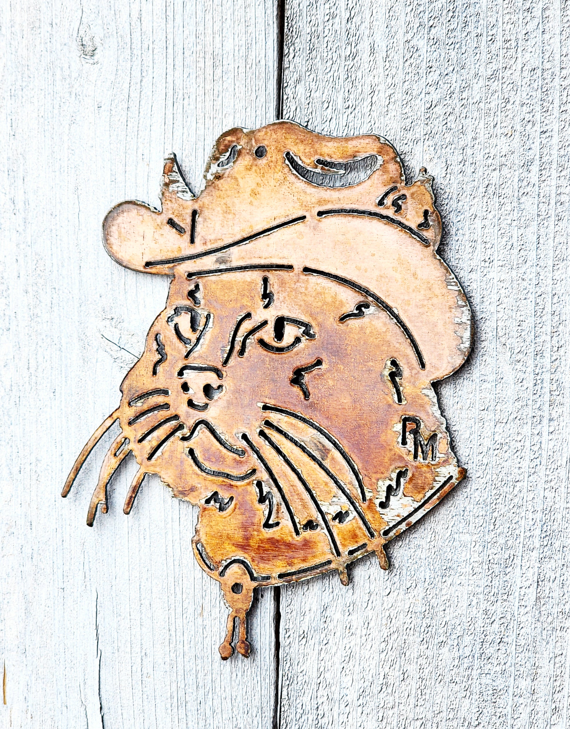 Cowboy Cat Set