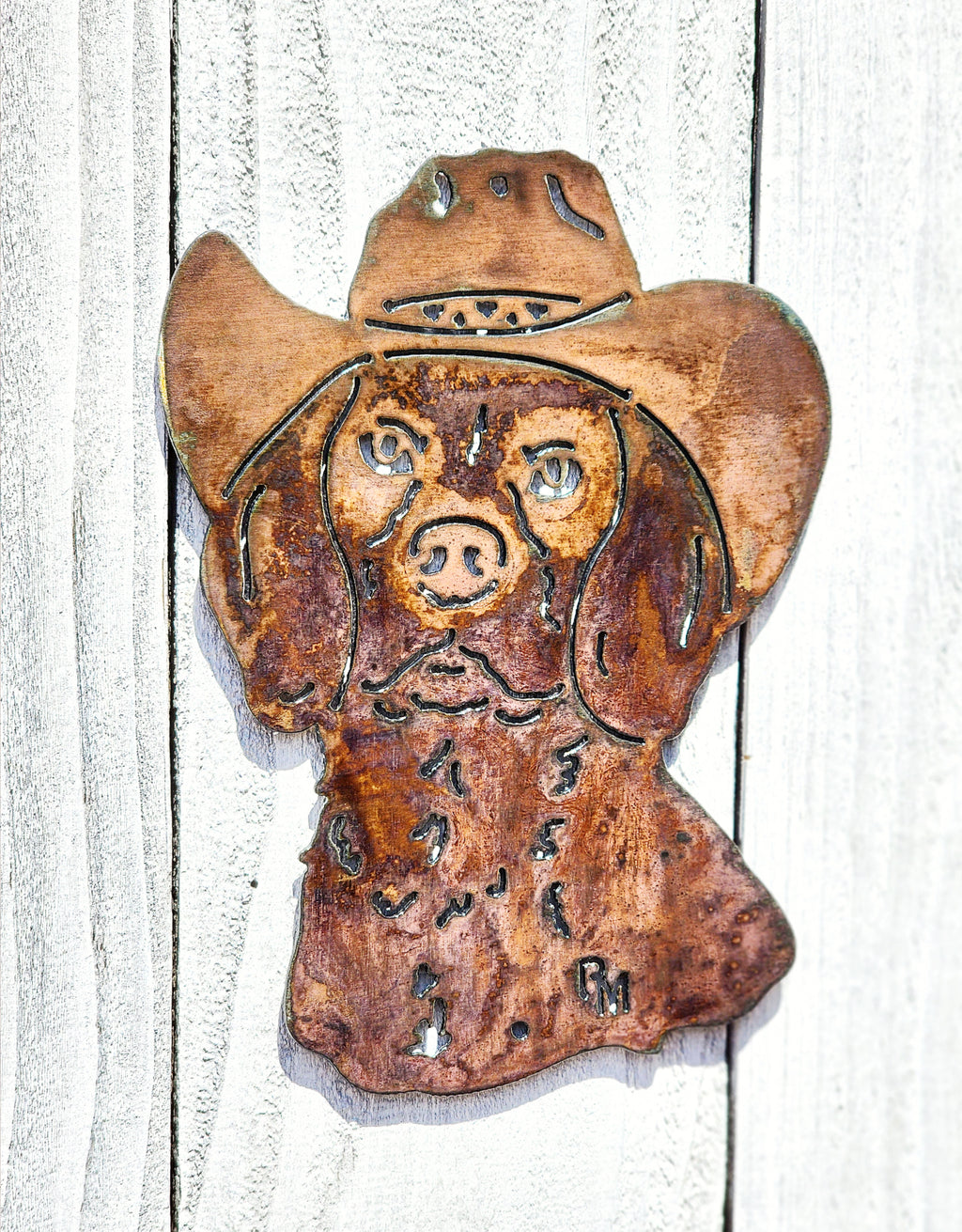 Cowboy Dog Set