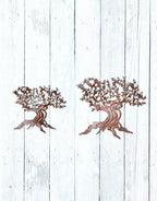 Olive Tree