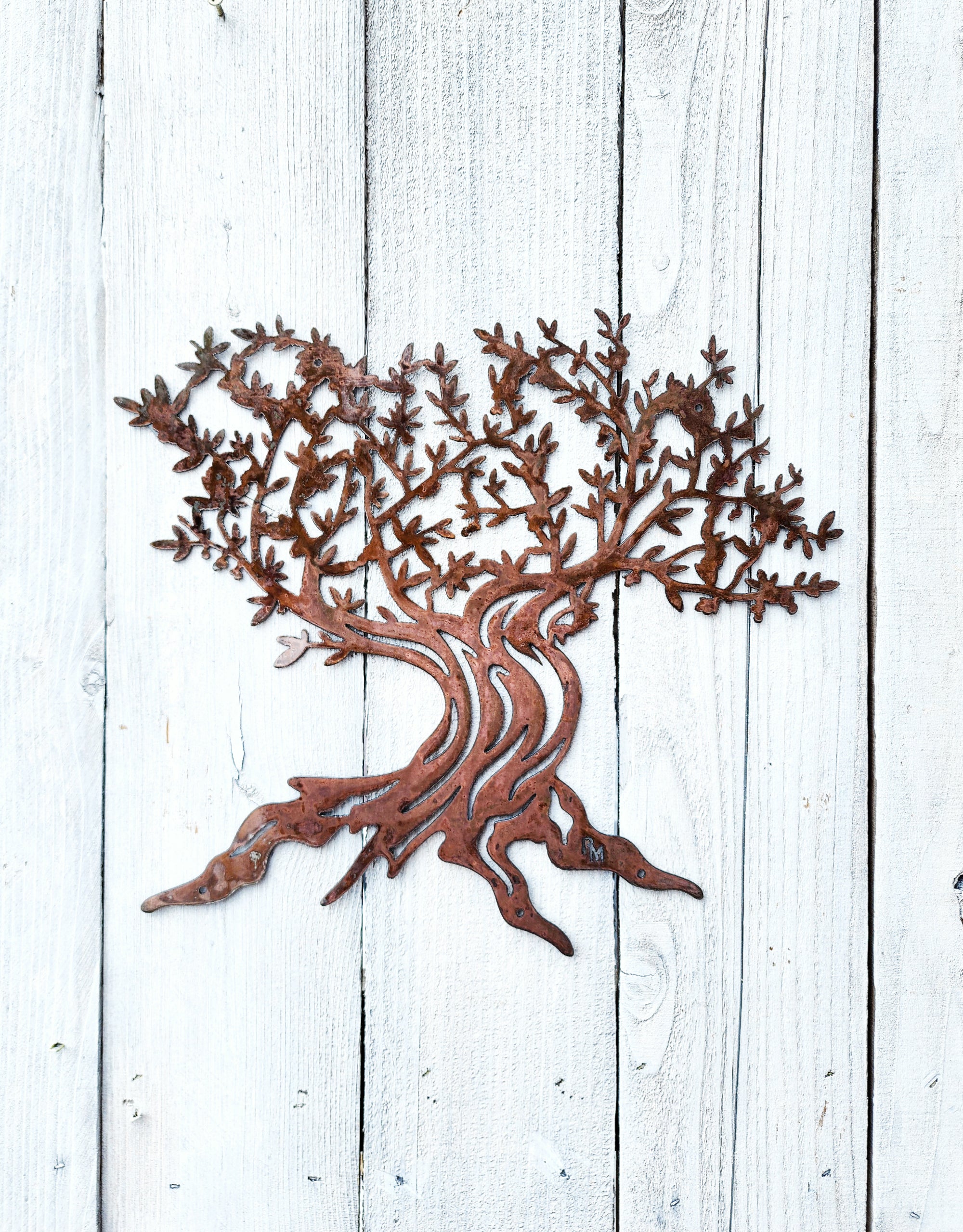 Olive Tree