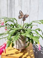 Spring Butterfly Stake