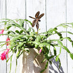 Small Dragonfly Stake