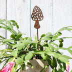 Small Morel Stake