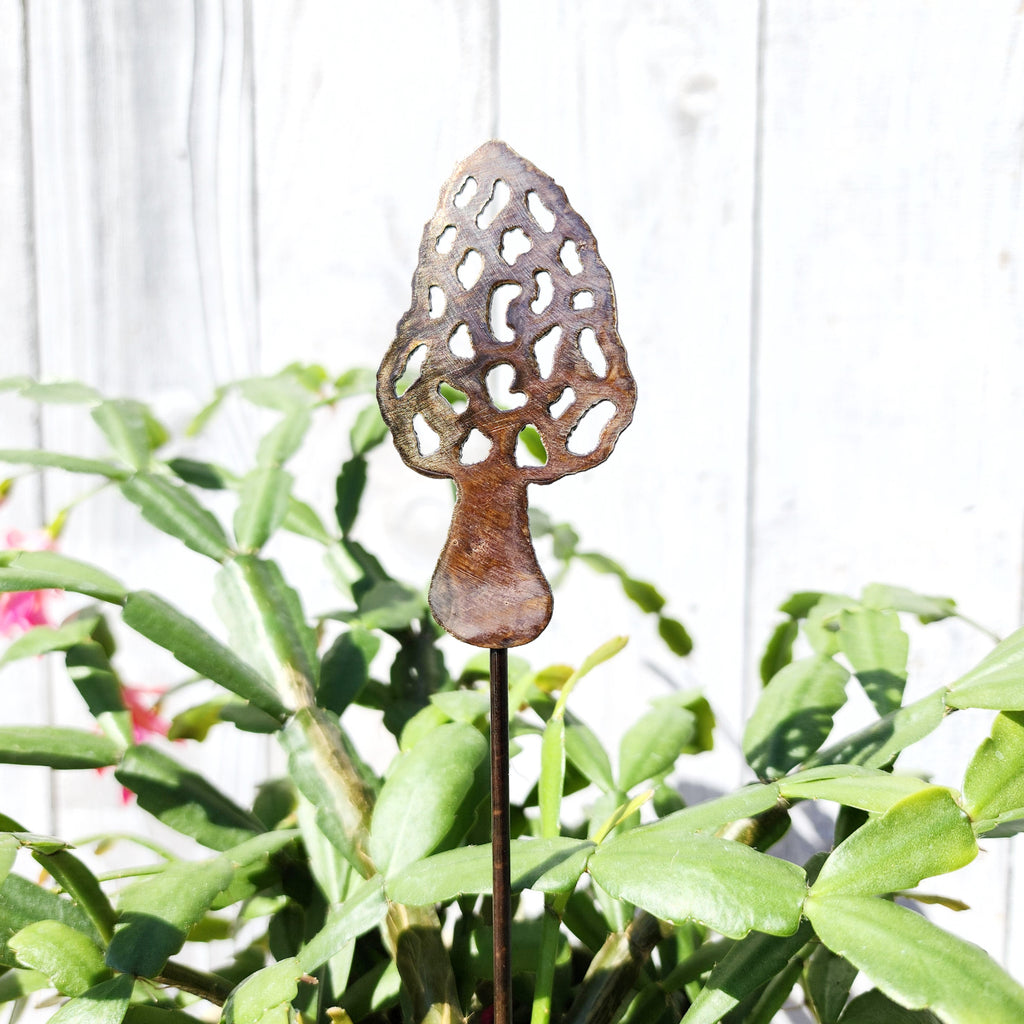Small Morel Stake