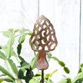 Small Morel Stake