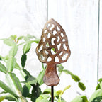 Small Morel Stake