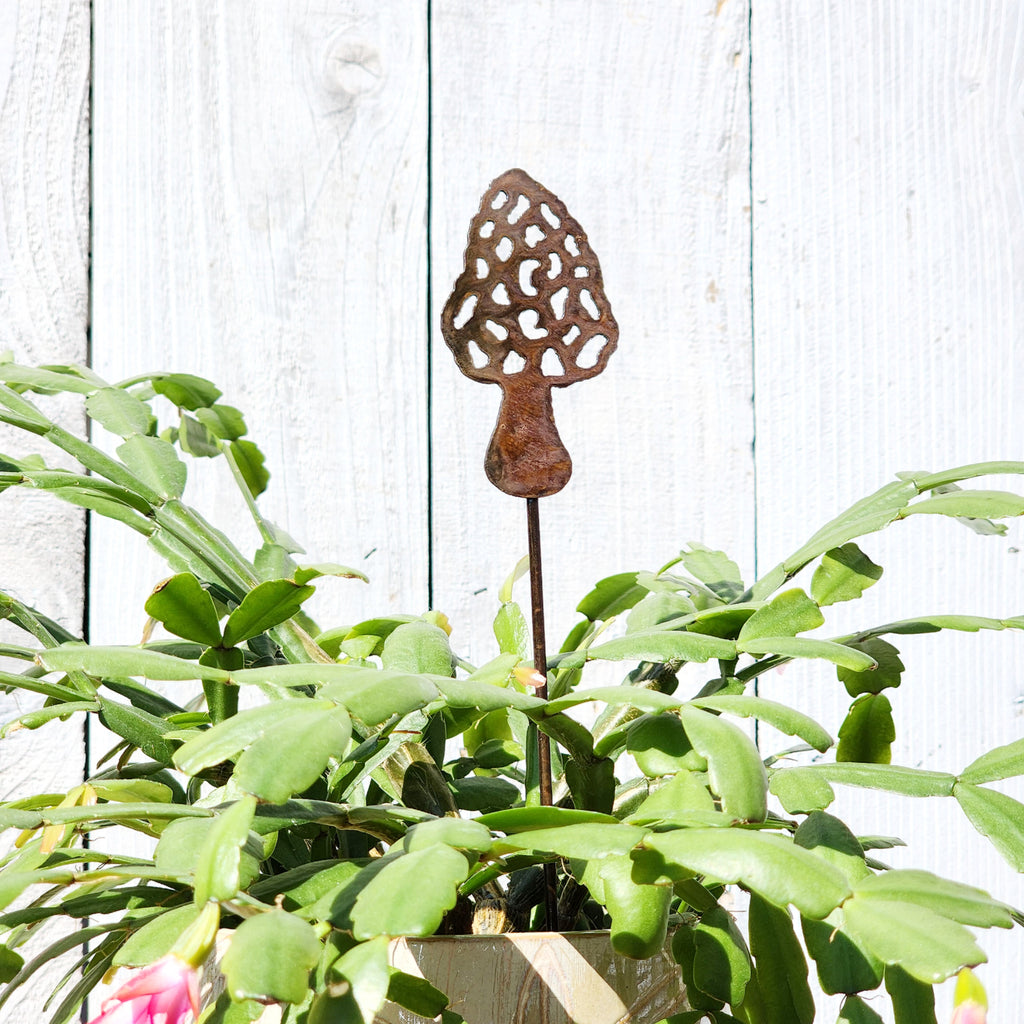 Small Morel Stake
