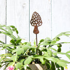 Small Morel Stake