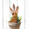 Lupine Cowboy Boot Stake