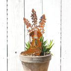 Lupine Cowboy Boot Stake