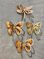 3D Dragonfly Magnet