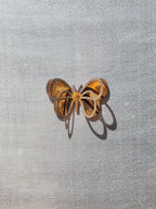 3D Tulipfly Magnet