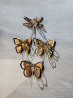 3D Tulipfly Magnet
