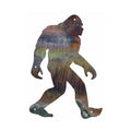 Big Foot Wall Art
