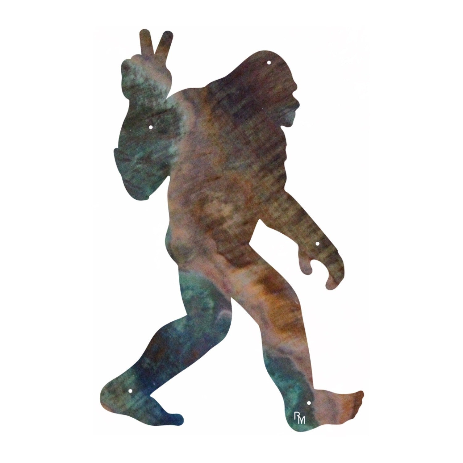 Peace Sign Big Foot Wall Art