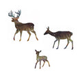 Deer Family Wall Art Set