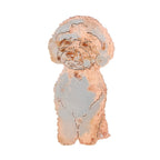 Bichon Sitting Sign