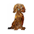 Dachshund Sign