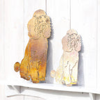 Poodle Sign