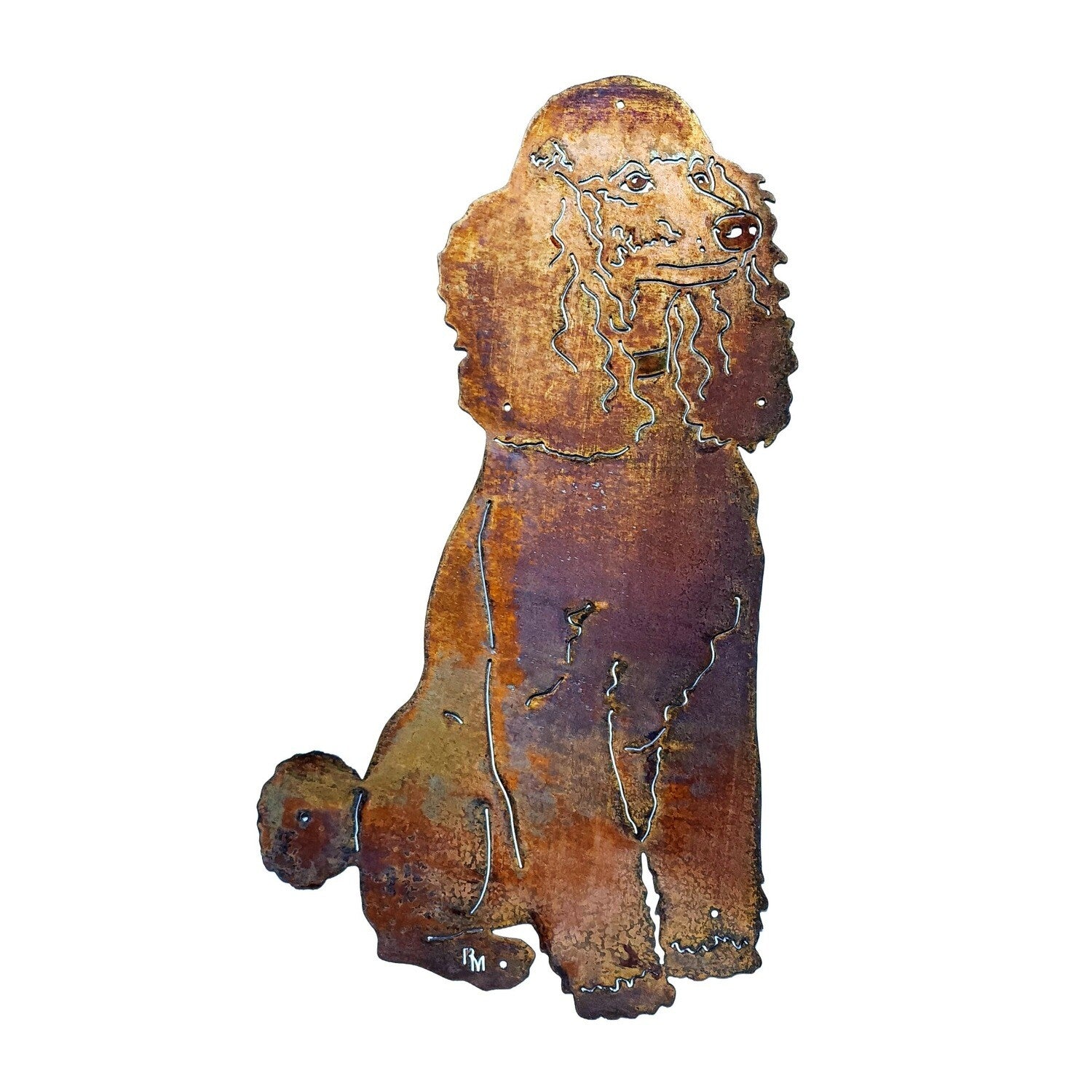 Poodle Sign