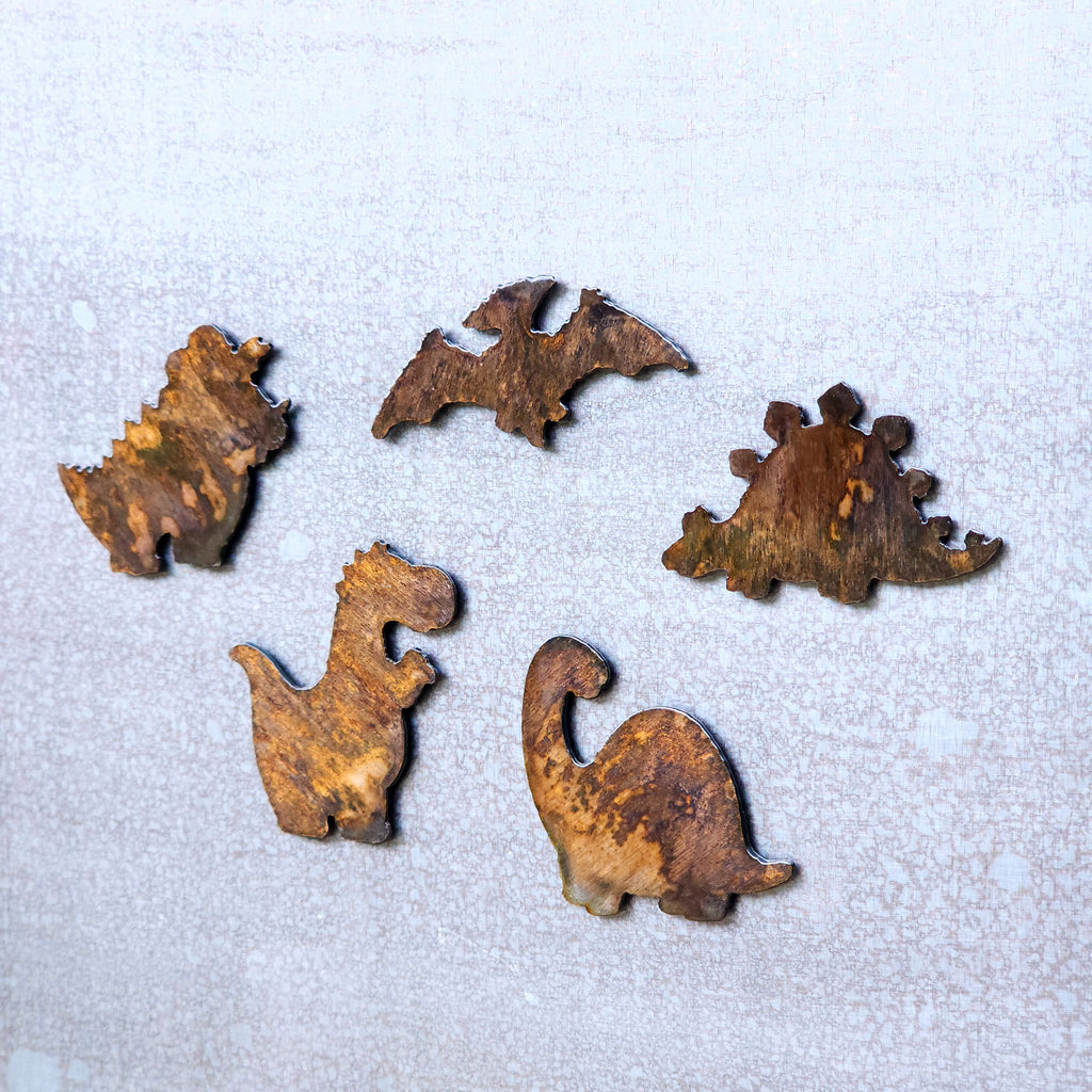 Dinosaur Magnet Set