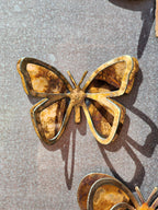3D Butterfly Magnet Set