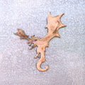 Dragon Magnet