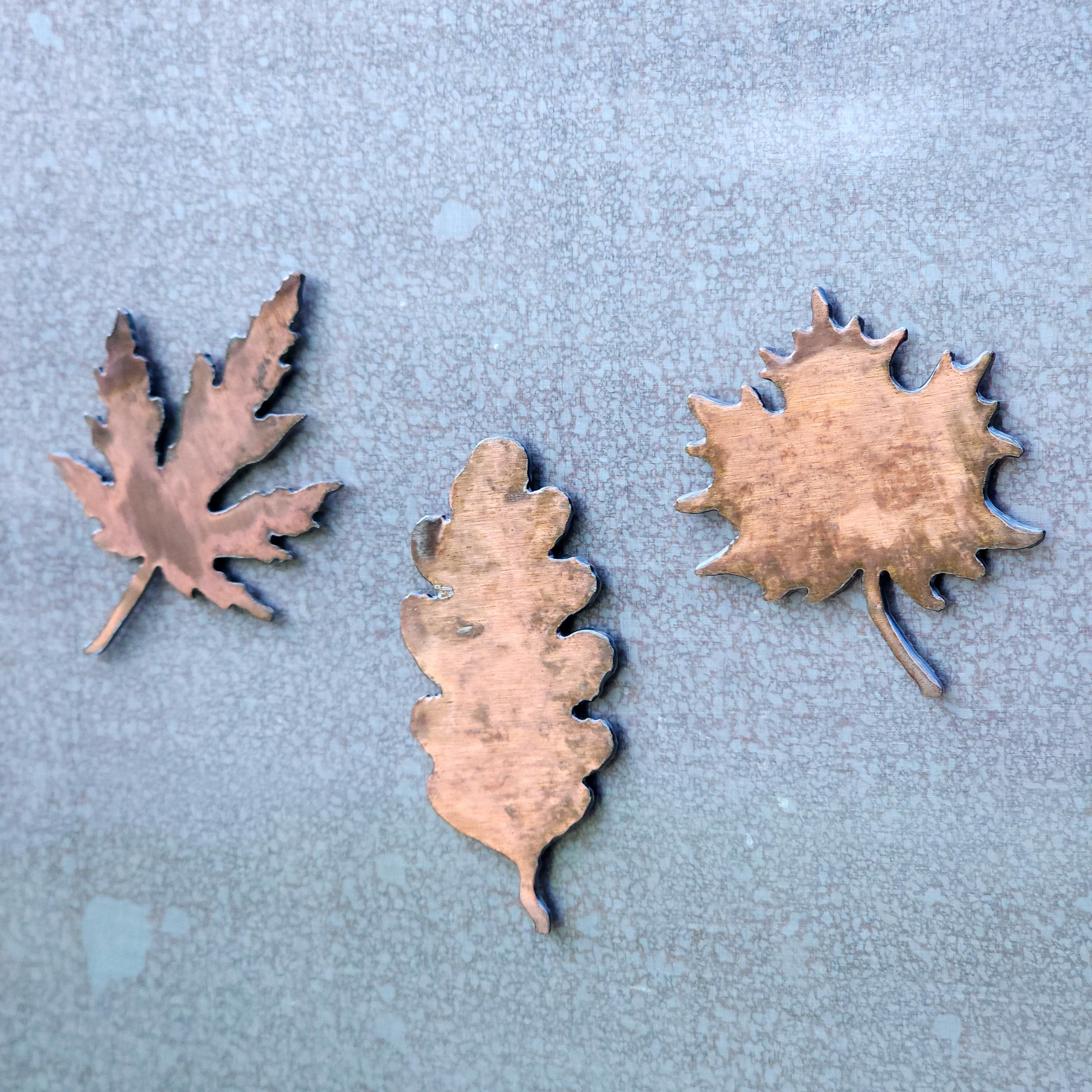 Sycamore Leaf Magnet