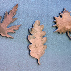 Leaf Magnet Set
