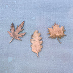 Leaf Magnet Set